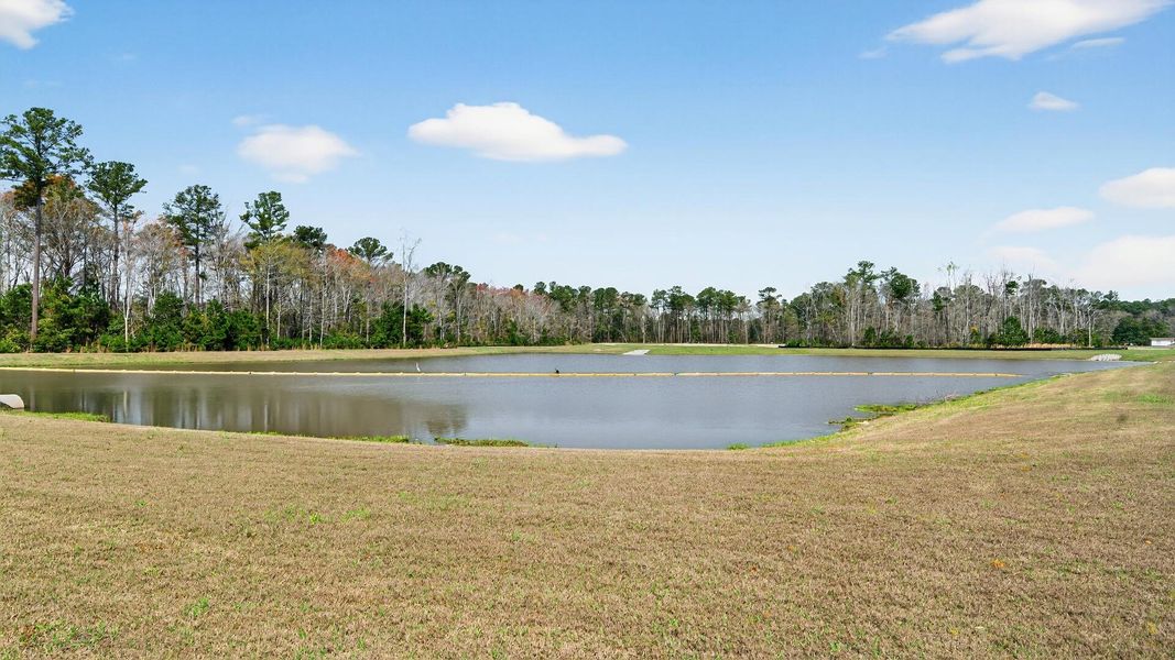 Natural landscape and outdoor views near Summerwind Crossing at Lakes of Cane Bay in Summerville (Image 15). Natural landscape and outdoor views near Summerwind Crossing at Lakes of Cane Bay in Summerville (Image 15).