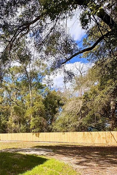 Natural landscape and outdoor views near  in Brooksville (Image 13).