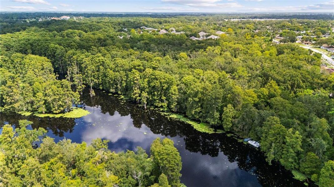 Natural landscape and outdoor views near  in Tampa (Image 25).