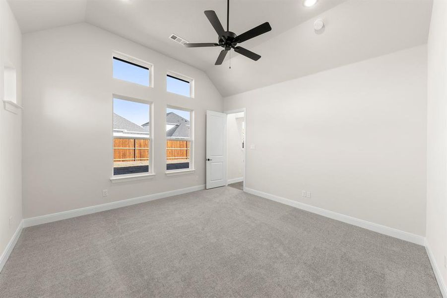 14_15. 1617 Yorkie - Primary