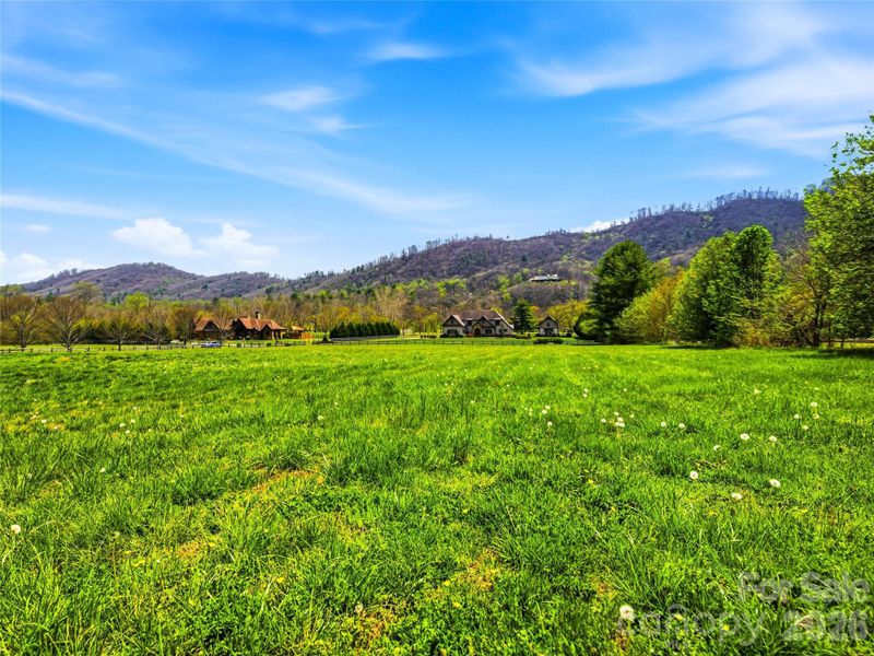 Natural landscape and outdoor views near  in Fletcher (Image 34).