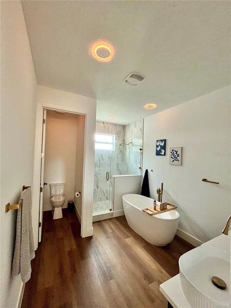 Bathroom ceiling lights