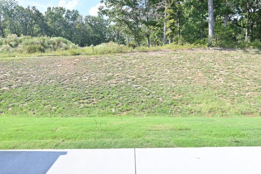 Natural landscape and outdoor views near Talia Trace in Smyrna (Image 27).