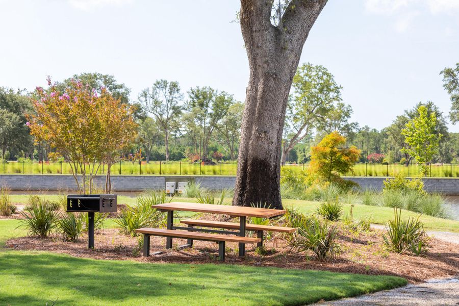 Natural landscape and outdoor views near Liberty Hill Farm in Mount Pleasant (Image 32).