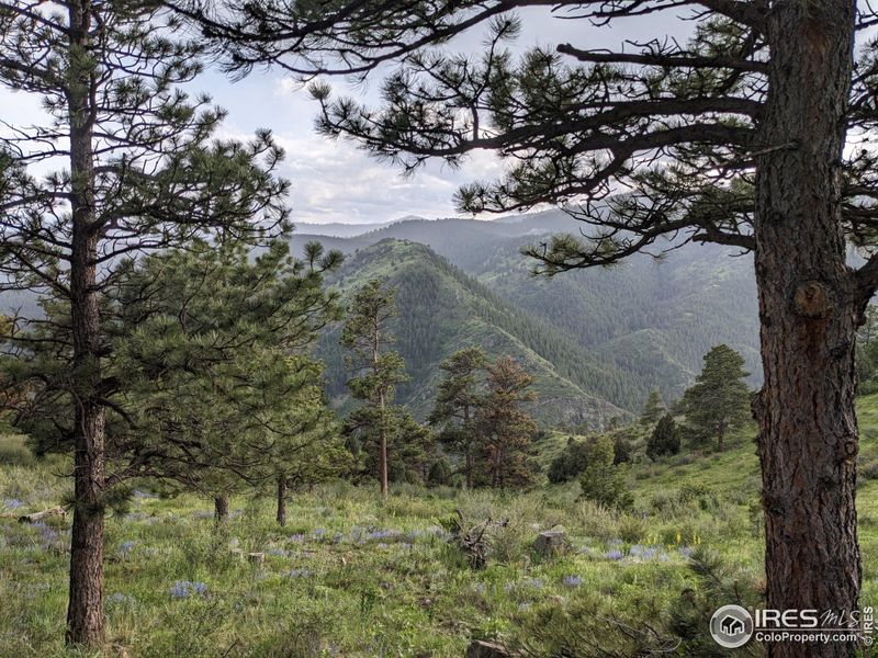 Natural landscape and outdoor views near  in Golden (Image 16).