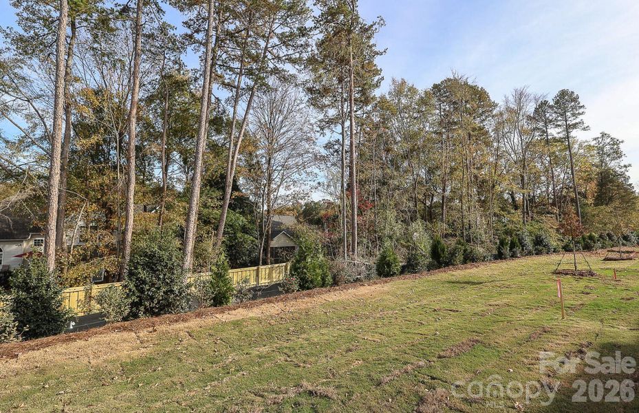 Natural landscape and outdoor views near Galloway Towns in Charlotte (Image 41).