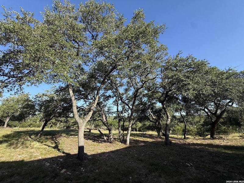 Natural landscape and outdoor views near in Spring Branch (Image 9). Natural landscape and outdoor views near in Spring Branch (Image 9).
