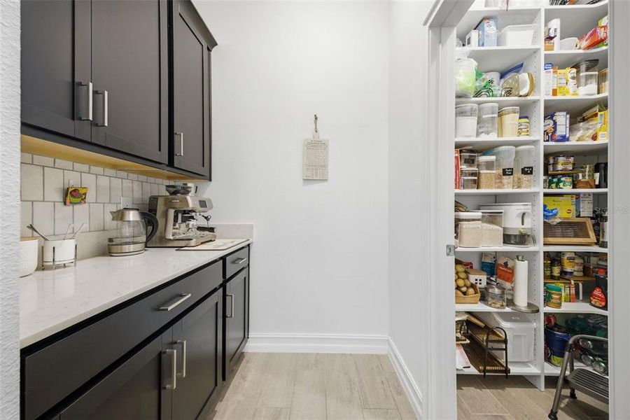Furnished interior view inside a new home in , Land O' Lakes (Image 43).
