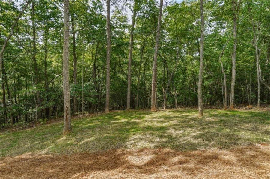 Natural landscape and outdoor views near in Ellijay (Image 45). Natural landscape and outdoor views near in Ellijay (Image 45).