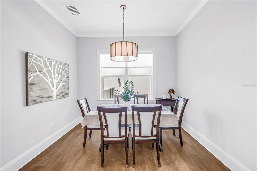 Furnished interior view inside a new home in , St. Petersburg (Image 16).