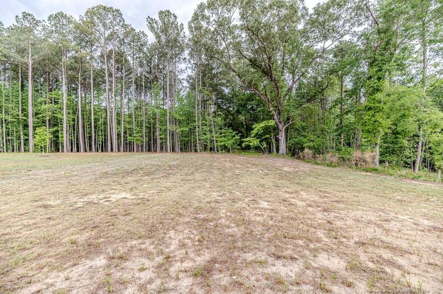 Nearly one acre lot