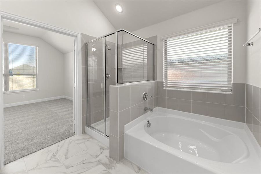 22. 139 Whistling Duck - Bath (3)