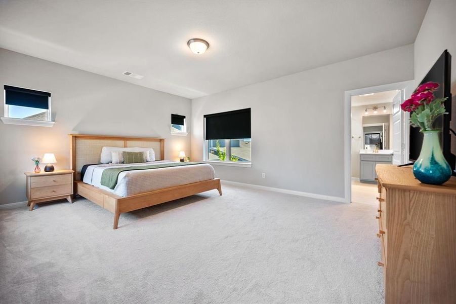 Carpeted bedroom with baseboards and connected bathroom Carpeted bedroom with baseboards and connected bathroom