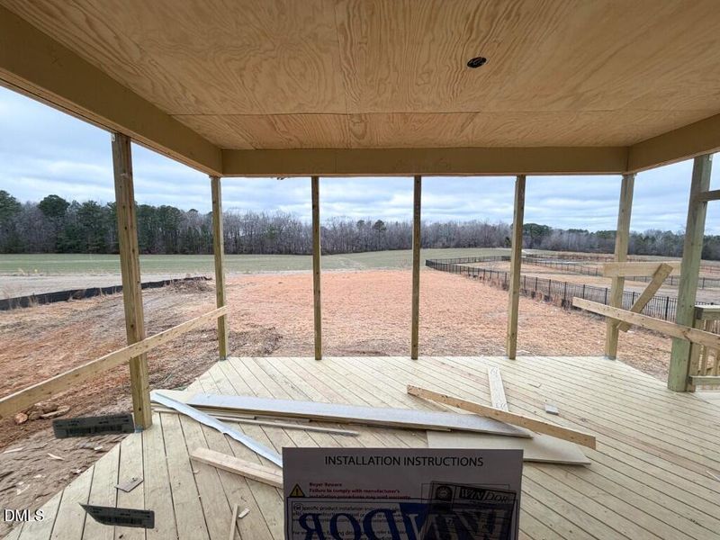 Photo Feb 16 2026, 10 52 56 AM (Medium)