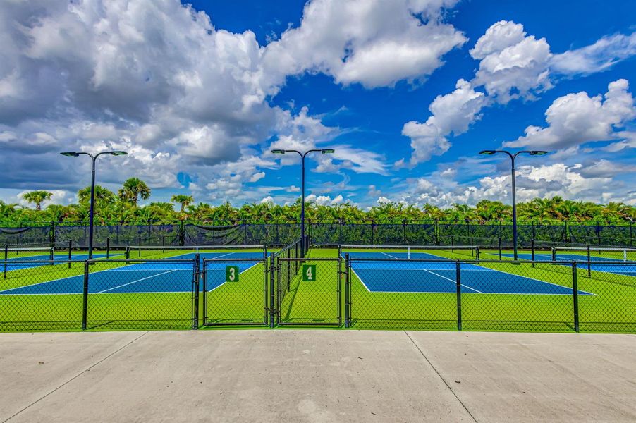 137-web-or-mls-Pickleball 137-web-or-mls-Pickleball