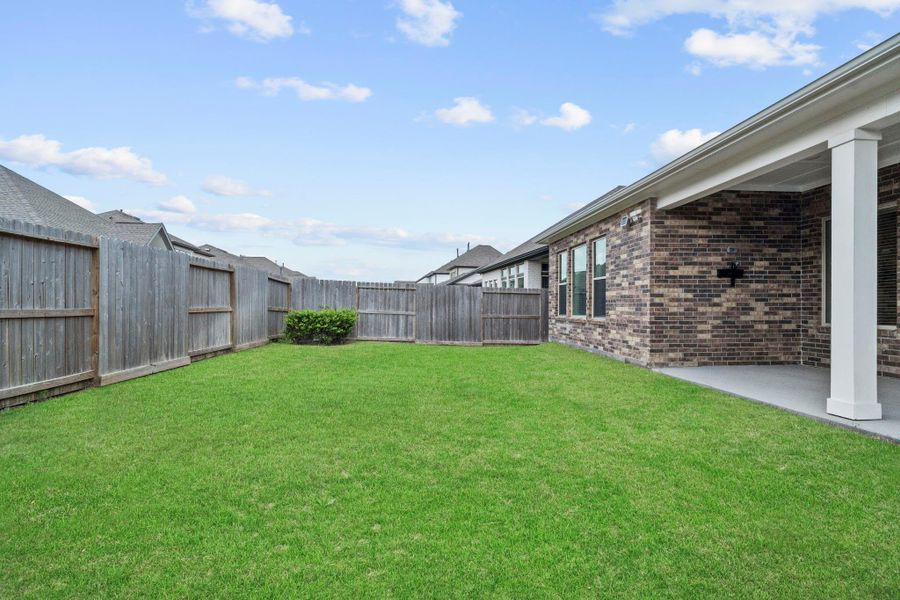 Backyard