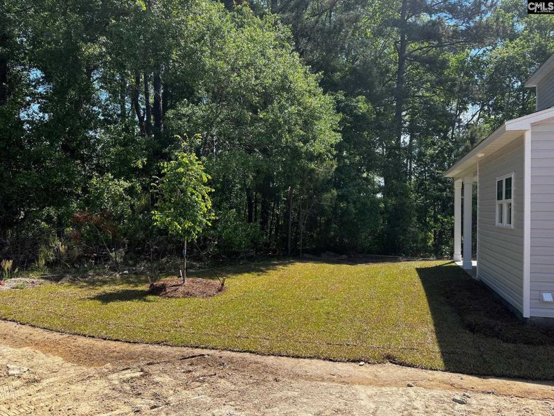 Exterior details and patio area of a home in Blythewood Farms, Blythewood (Image 4).