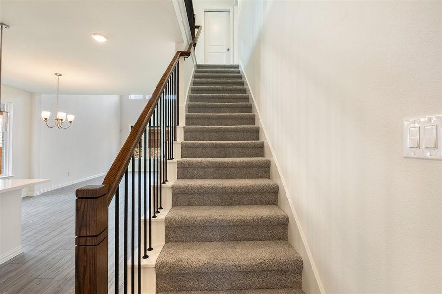 Spec Elevon 256 Bright Alcove-021 Spec Elevon 256 Bright Alcove-021