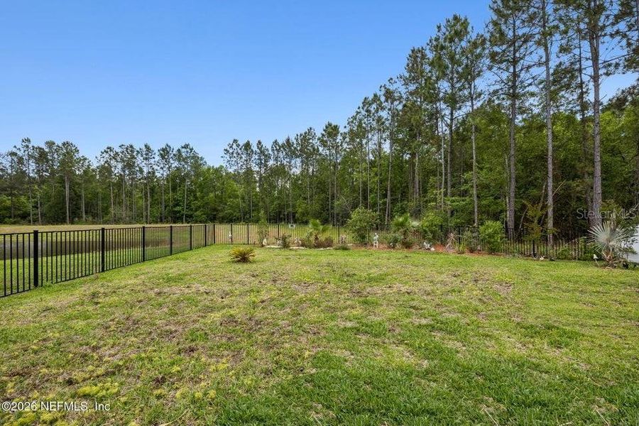 Natural landscape and outdoor views near in Middleburg (Image 38). Natural landscape and outdoor views near in Middleburg (Image 38).