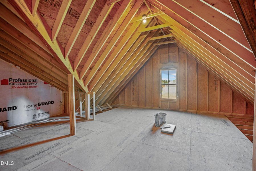 33-web-or-mls-_S0A9466