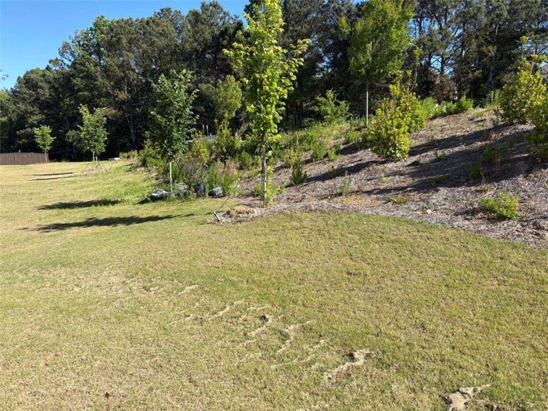 Natural landscape and outdoor views near Briarwood in Cumming (Image 20). Natural landscape and outdoor views near Briarwood in Cumming (Image 20).