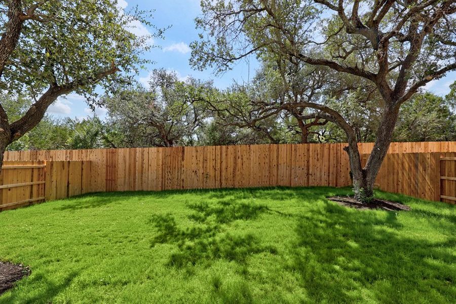 Backyard