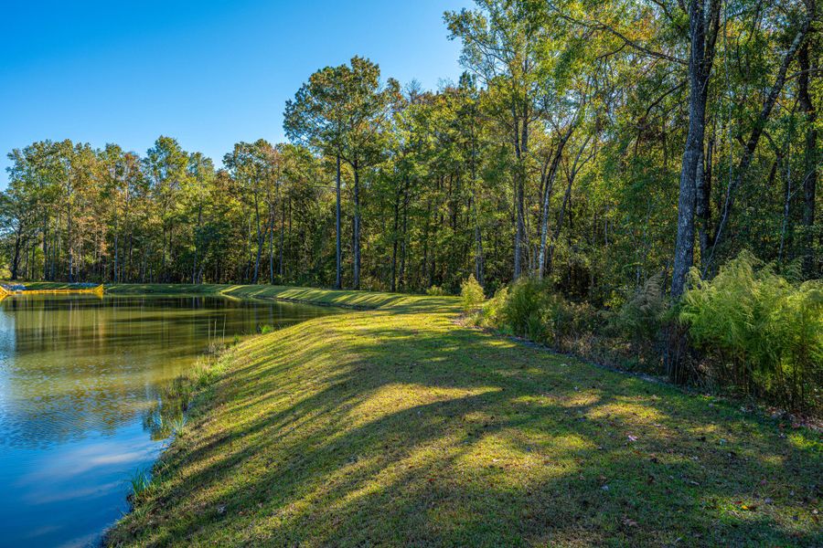 Natural landscape and outdoor views near Cedar Glen Preserve in Huger (Image 35).