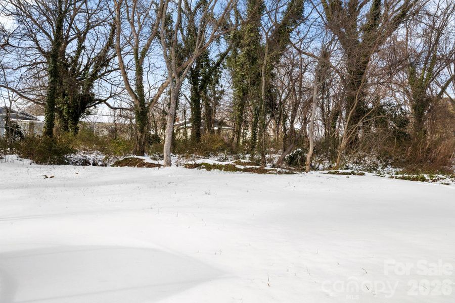 Natural landscape and outdoor views near  in Statesville (Image 33).