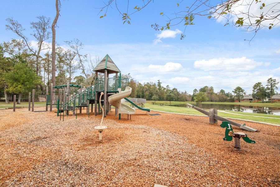 Community amenities in Lakes at Black Oak, Magnolia (Image 22).