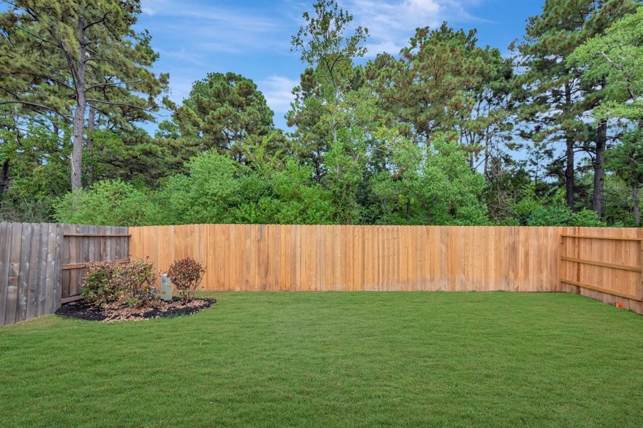 Backyard