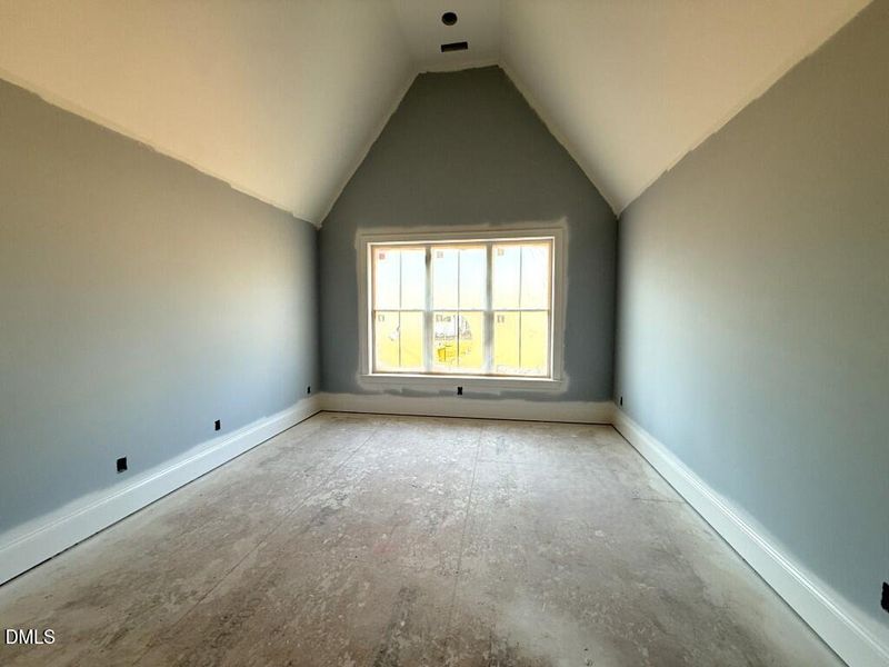 IMG_1385 2 (Medium) IMG_1385 2 (Medium)