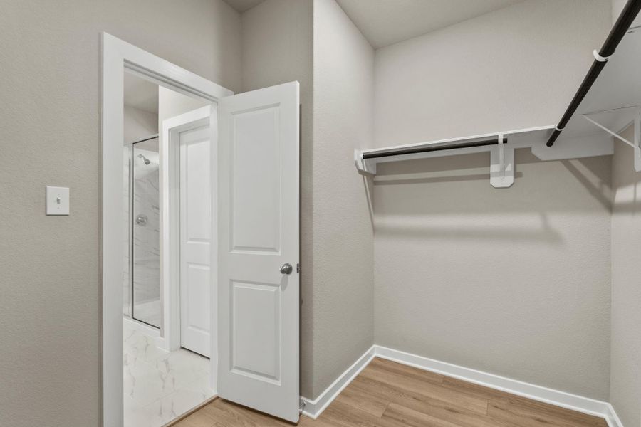 Spacious, unfurnished interior of a new home in Cypress Green, Hockley (Image 17).