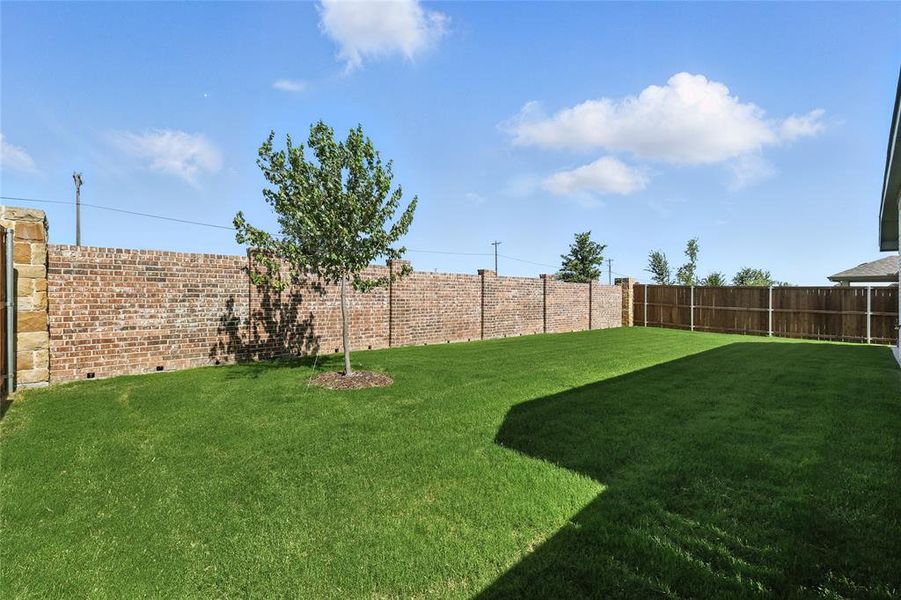 View of yard View of yard