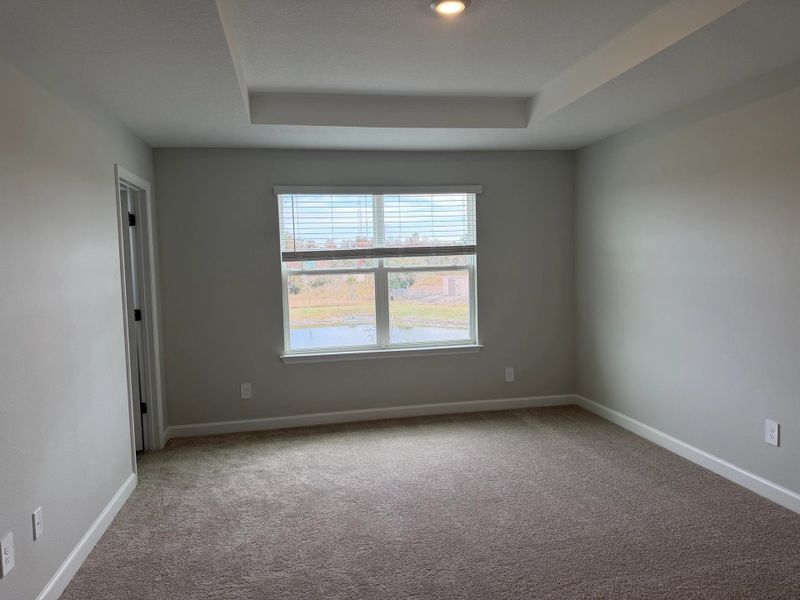 Peaceful primary suite featuring an elevated tray ceiling and expansive windows