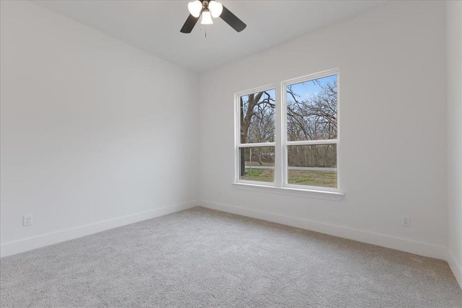 Empty room featuring a ceiling fan, carpet, and baseboards