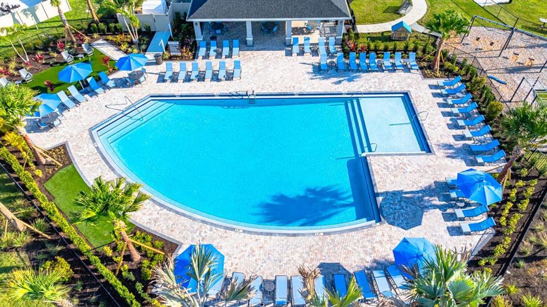 Community amenities in Indigo Creek, Apollo Beach (Image 41).
