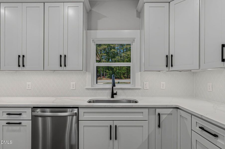 42-web-or-mls-DSC09267
