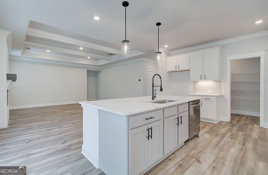 Furnished interior view inside a new home in Ponderosa Farms Reserve, Gainesville (Image 10).