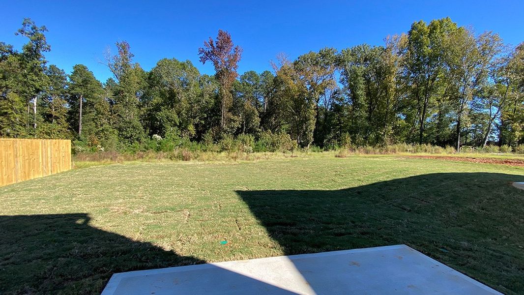 Natural landscape and outdoor views near Livingston Woods in Irmo (Image 26). Natural landscape and outdoor views near Livingston Woods in Irmo (Image 26).