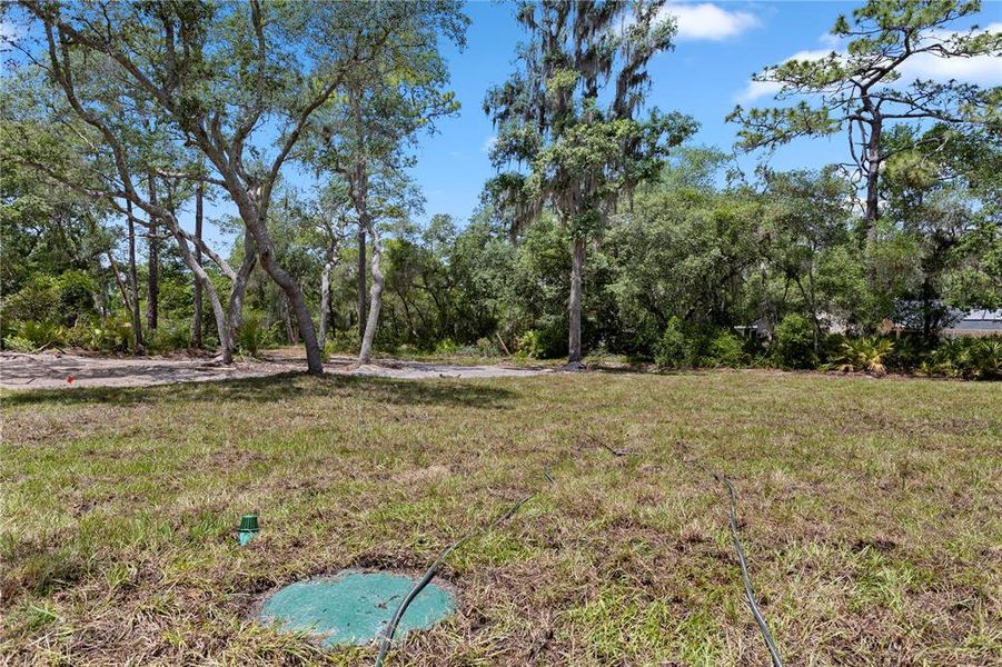 Natural landscape and outdoor views near  in Eustis (Image 46).