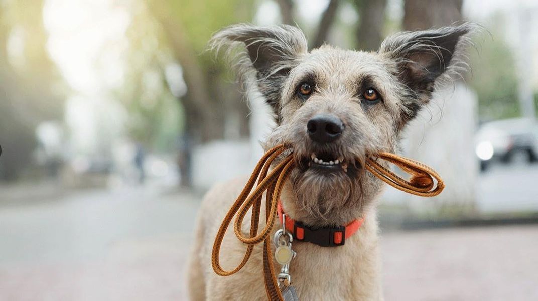 Image 30 of a home in McCrorey Trails. Image 30 of a home in McCrorey Trails.