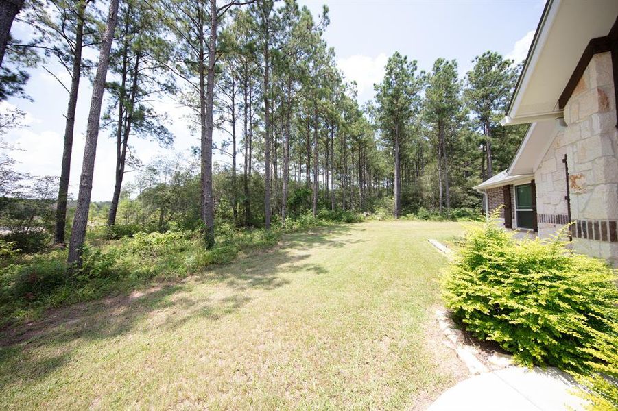 This photo showcases a spacious backyard with a lush green lawn bordered by tall trees, providing a serene and private atmosphere. The side of a house is partially visible, featuring stonework and a landscaped area. Ideal for nature lovers seeking tranquility.