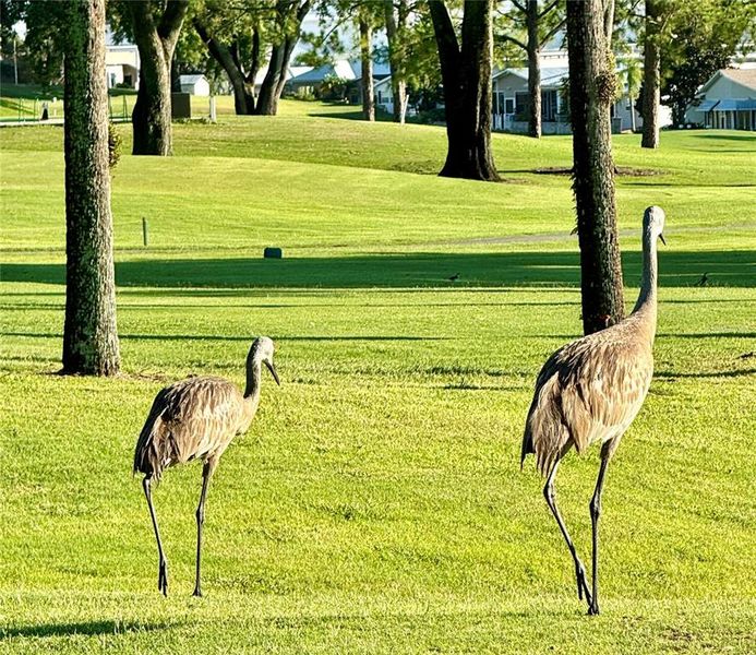 Natural landscape and outdoor views near in Davenport (Image 34). Natural landscape and outdoor views near in Davenport (Image 34).