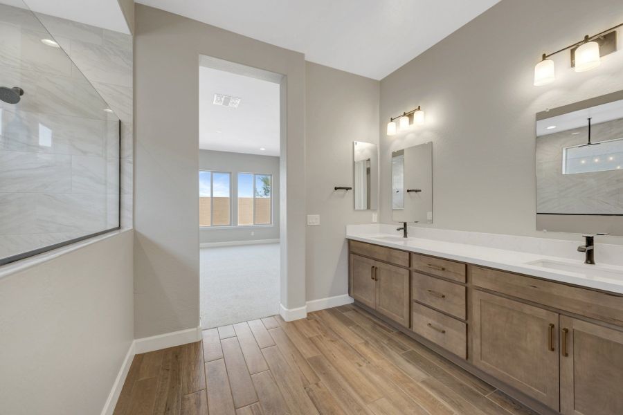 Owner's Bath