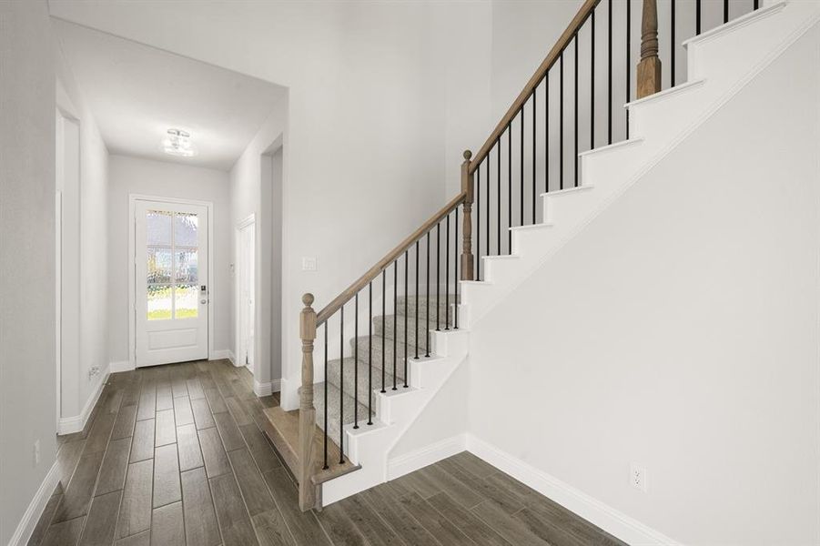 116 Grey wolf- Entry-2309 116 Grey wolf- Entry-2309