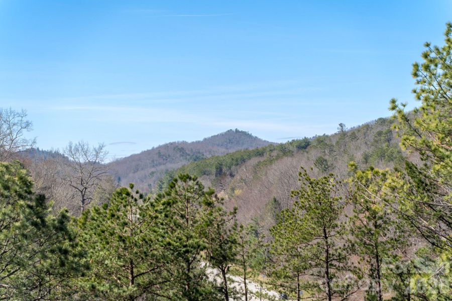 Natural landscape and outdoor views near  in Mills River (Image 45).