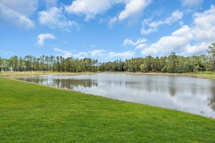 Exterior details and patio area of a home in Tamarack at Two Rivers, Zephyrhills (Image 2). Exterior details and patio area of a home in Tamarack at Two Rivers, Zephyrhills (Image 2).