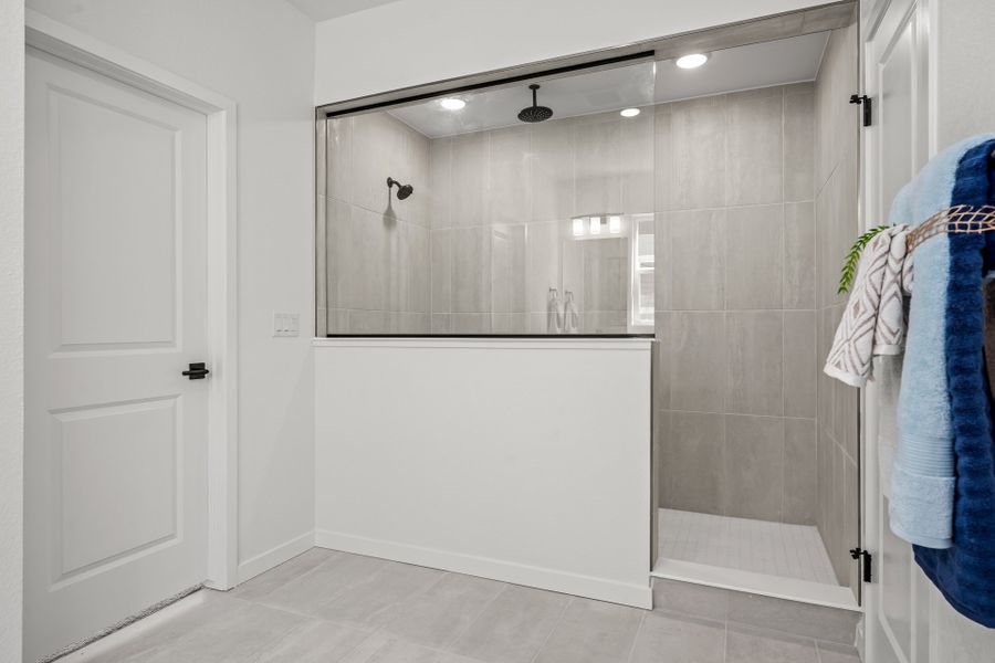 Owner's Bath