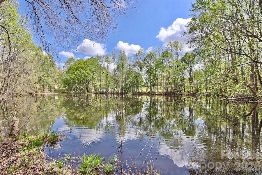 Natural landscape and outdoor views near  in Shelby (Image 35).
