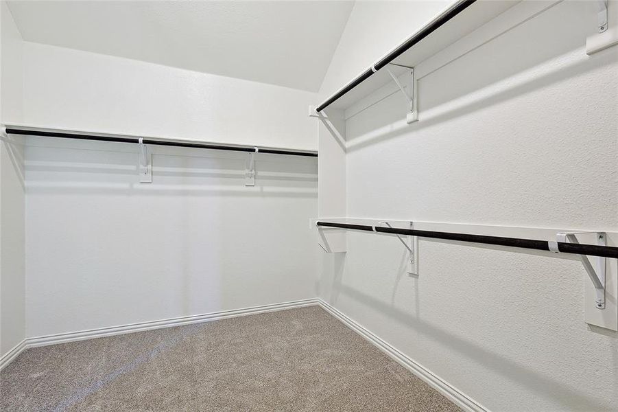 Walk in closet featuring carpet and vaulted ceiling